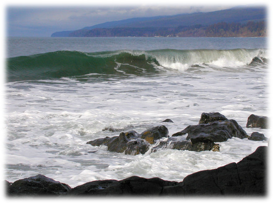 Point-No-Point, Salish Sea, Vancouver Island, Canada