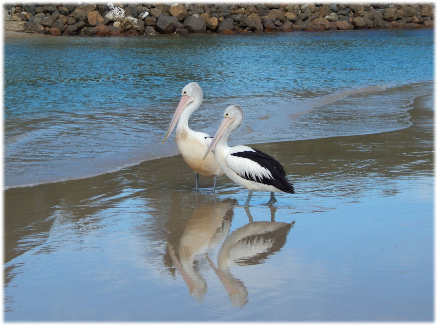 Crescent Head, Djangadi Coast, New South Wales, Australia