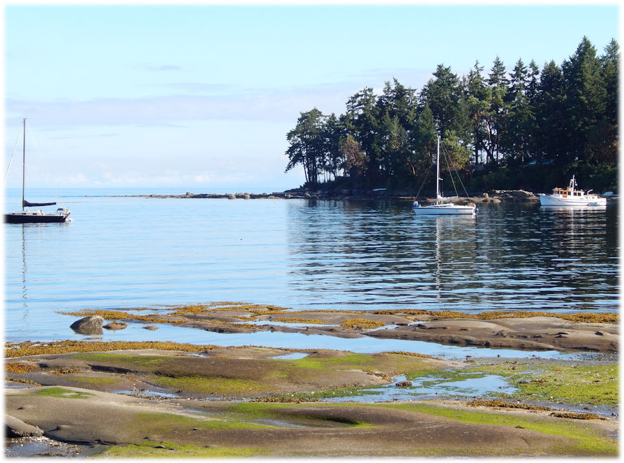 Taylor Bay, Gabriola Island, Salish Sea, Canada